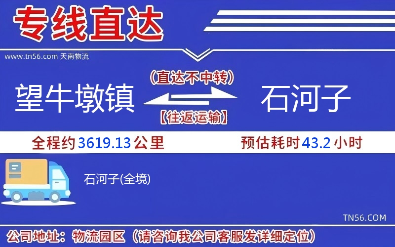 望牛墩镇到石河子物流公司